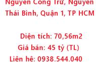 Chính chủ bán nhà mặt tiền Nguyễn Công Trứ, trung tâm Quận 1